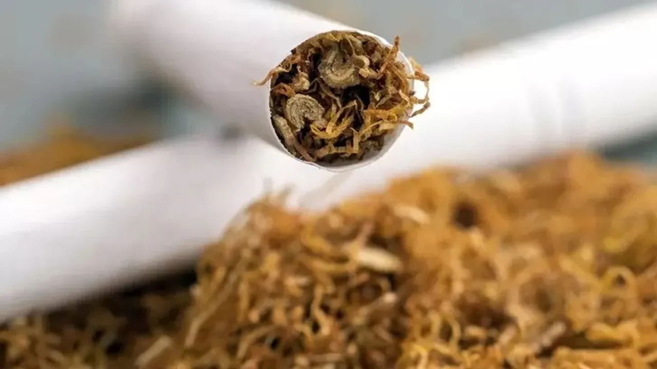 Tütün ve Tekel Ürünleri